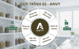 Quy trình 6S ANVY