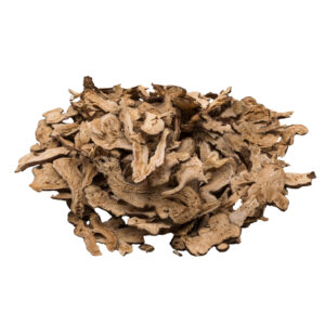 Bạch truật phiến