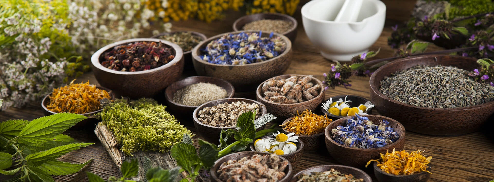 Ảnh chính đối tác